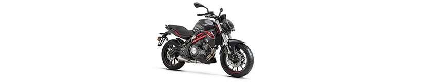 Benelli TNT 249-S Yedek Parça