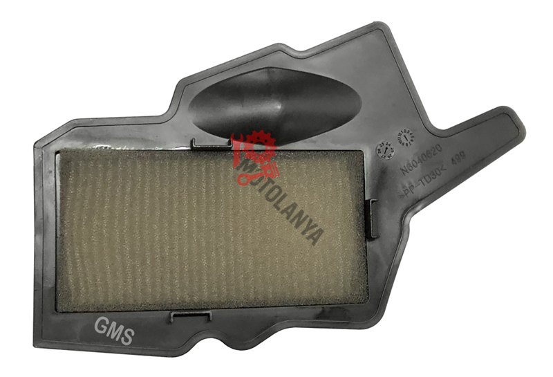 HAVA FILTRESI TVS RAIDER 125