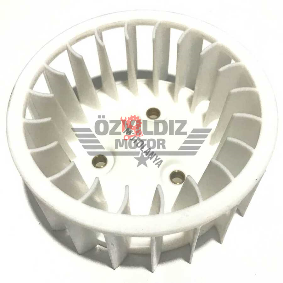 FAN BWS100